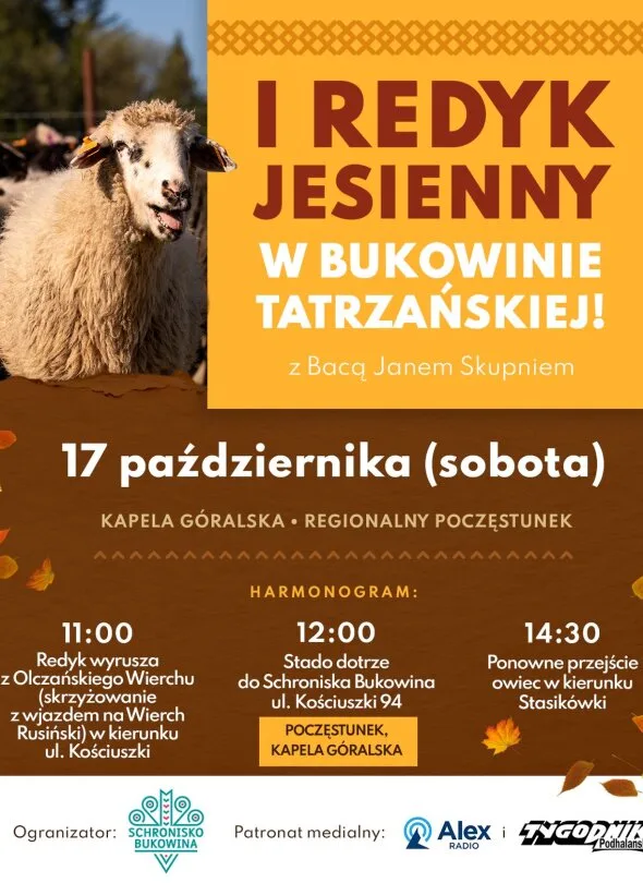 Zobacz żywą tradycję Podhala. I Redyk Jesienny w Bukowinie Tatrzańskiej