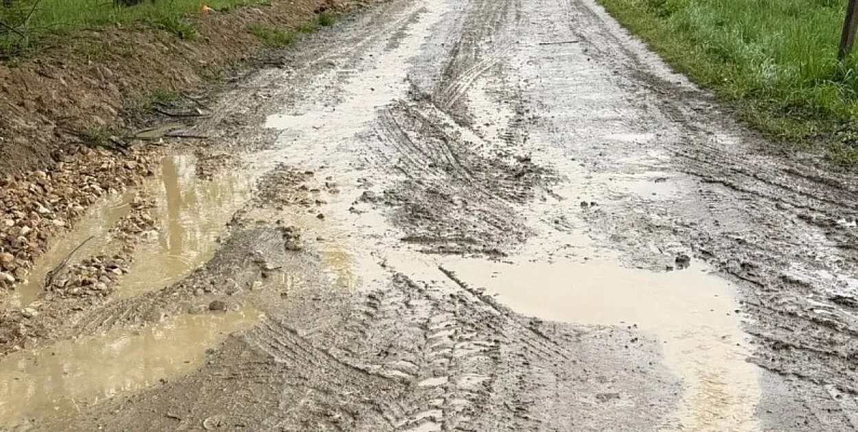 Co z remontem drogi Fidryga w Dzianiszu?